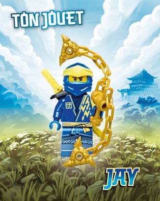 LEGO® Ninjago® | N°14 PLUS | Jay avec nunchaku + Carte Or LE Série 5