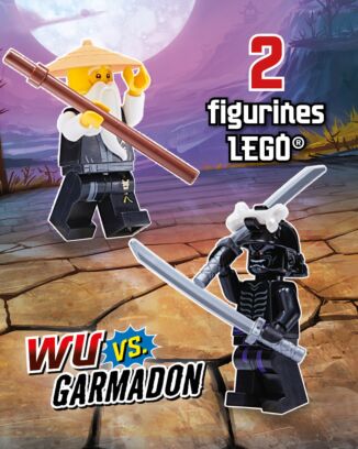 LEGO® Ninjago® LEGACY | N°5