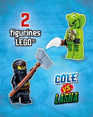 LEGO® Ninjago® LEGACY | HS N°1