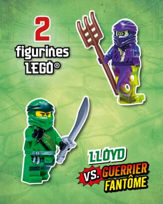LEGO® Ninjago® LEGACY | N°6