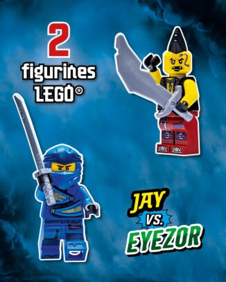 LEGO® Ninjago® LEGACY | HS N°2