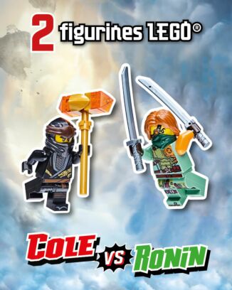 LEGO® Ninjago® LEGACY | N°9
