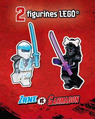 LEGO® Ninjago® LEGACY Plus | N°14 | Zane & Garmadon