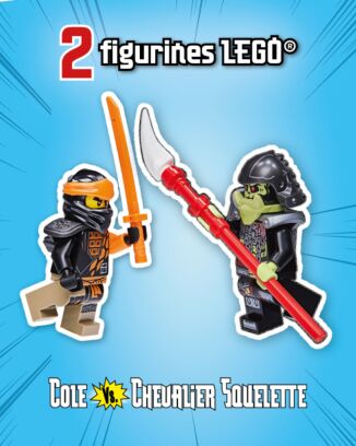 LEGO® Ninjago® LEGACY | N°16 | Cole vs. le Chevalier Squelette