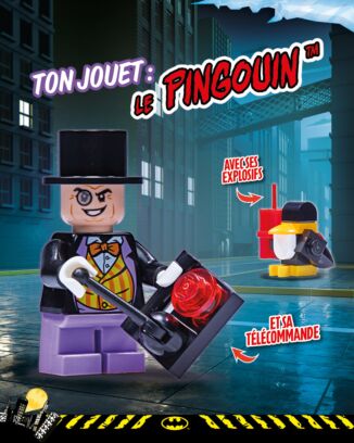 LEGO® BATMAN™ | N°3 2021