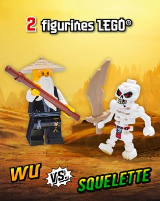 LEGO® Ninjago® LEGACY | N°3H