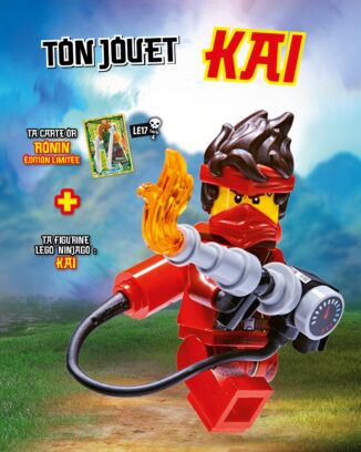LEGO® Ninjago® | N°10 PLUS