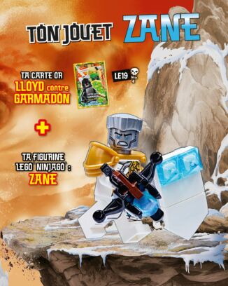 LEGO® Ninjago® | N°11 - Zane