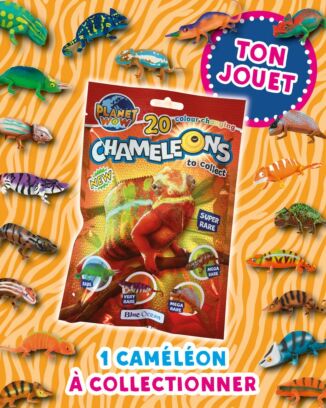 Fun Kids HS - n°2H - Caméléons