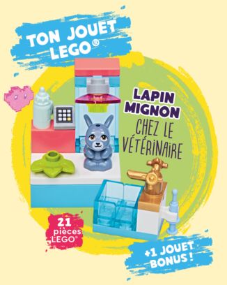 LEGO® Friends© | 18 - Lapin mignon chez le vétérinaire