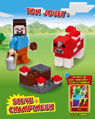LEGO® Minecraft™ | N°11 Super | Steve + Champimeuh + carte exclusive