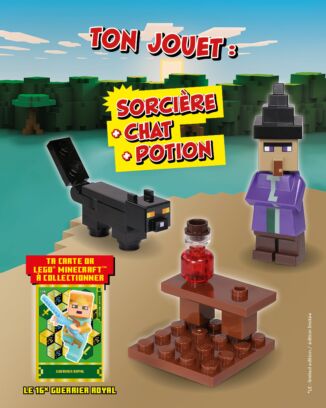 LEGO® Minecraft™ | N°11 Plus | Sorcière, chat noir et potion + carte or