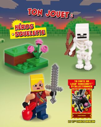 LEGO® Minecraft™ | N°12 | Héros et squelette + carte or en édition limitée