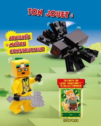 LEGO® Minecraft™ | N°12 Super | Araignée + maître constructeur + carte or