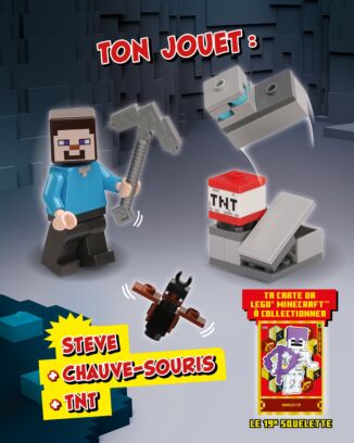 LEGO® Minecraft™ | N°12 Plus | Steve + chauve-souris + TNT + carte or