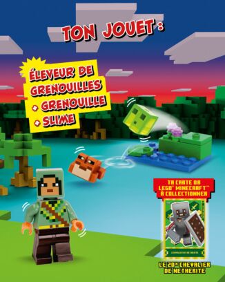 LEGO® Minecraft™ | N°13 | Éleveur de grenouilles + grenouille + slime + carte or