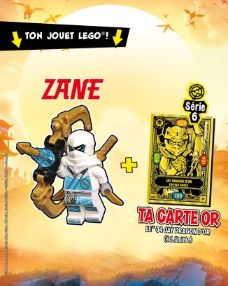 LEGO® Ninjago® | N°21 | Zane + 1 carte or