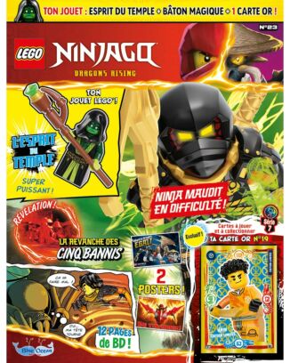 LEGO® Ninjago® | N°23 | L'esprit du temple
