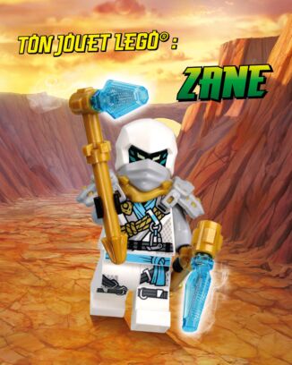 LEGO® Ninjago® | N°24 | Zane