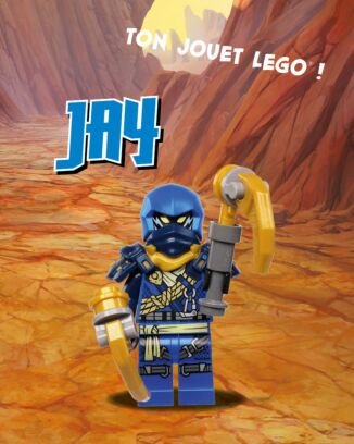 LEGO® Ninjago® | N°24 PLUS | Jay + 2 piolets de foudre + 1 carte or