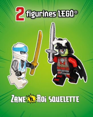 LEGO® Ninjago® LEGACY Hors Serie| N°18H | Zane vs. Roi Squelette