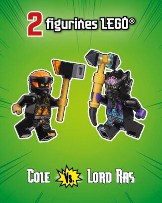 LEGO® Ninjago® LEGACY | N°21 | Cole vs. Lord Ras + carte or + boîte collector
