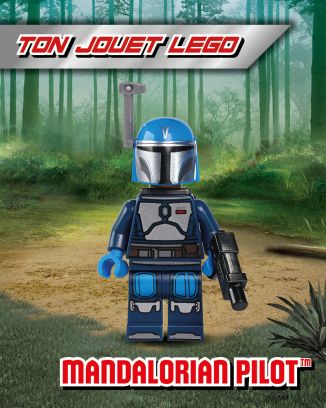 LEGO® Star Wars™ N°17 | Mandalorian Pilot™ + 1 Carte or édition limitée