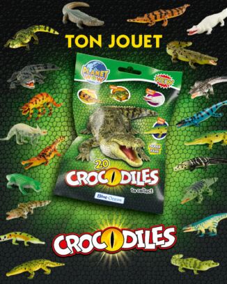 Planet WOW - n°7 - Crocodiles