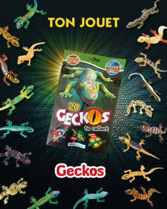 Planet WOW - Geckos 2H