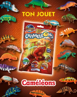 Planet WOW -  n°3 - Caméléons 