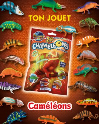 Planet WOW - n°4 - Caméléons 