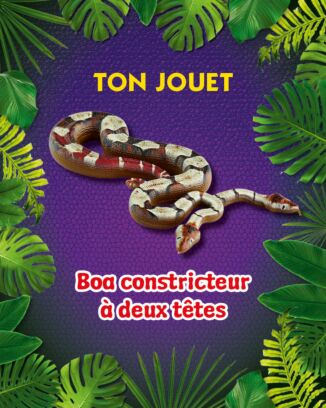 Planet WOW Hors Série - n°2 - Serpents : pythons et compagnie