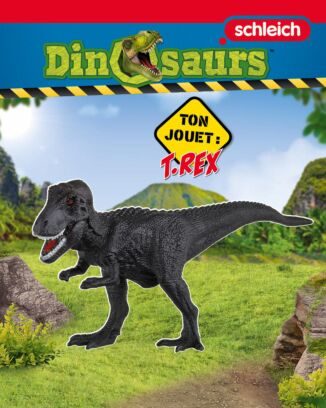 Roaaarr Dinosaurs| N°3 | T-rex : la star des dinosaures