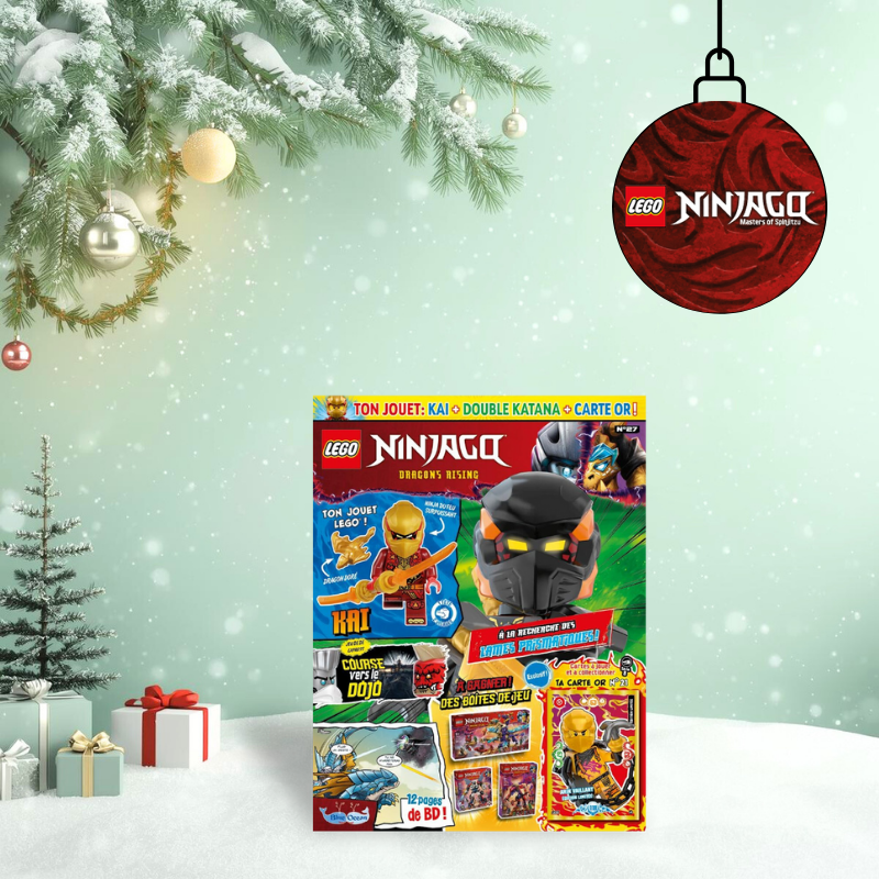 LEGO® NINJAGO®
